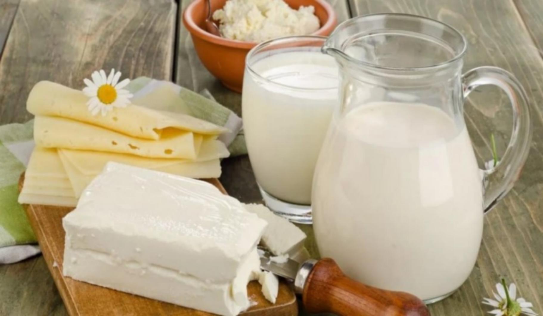 Правила выбора качественных молочных продуктов