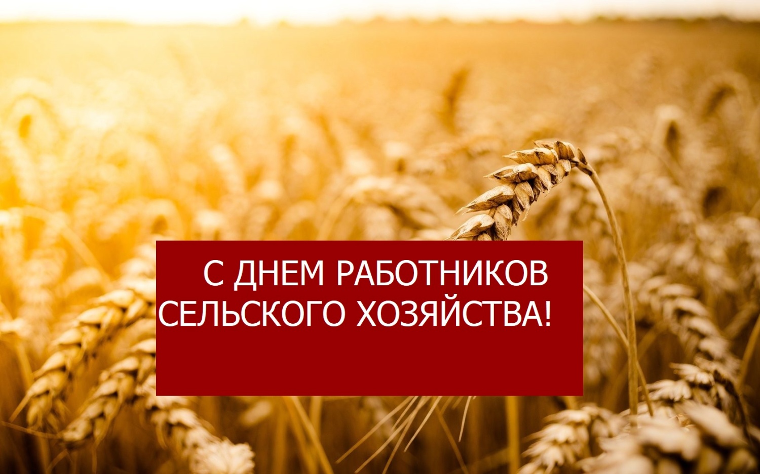 Уважаемые жители и гости Колышлейского района 2 декабря 2022 года в 14-30 часов состоится торжественное мероприятие, посвященное празднованию Дня работника сельского хозяйства и перерабатывающей промышленности