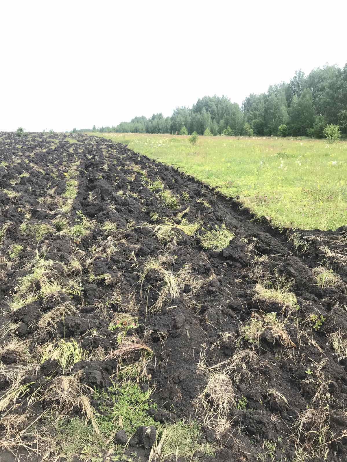 В Колышлейском районе проводится работа по вводу в оборот ранее неиспользуемых земель