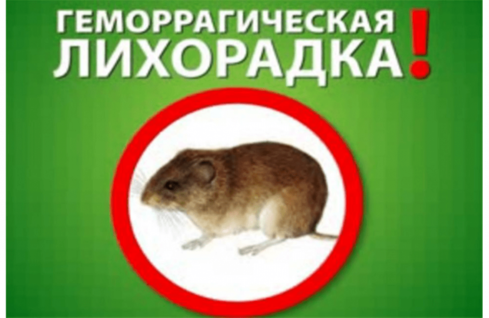 Руководителям предприятий, организаций, главам сельских поселений о ГЛПС