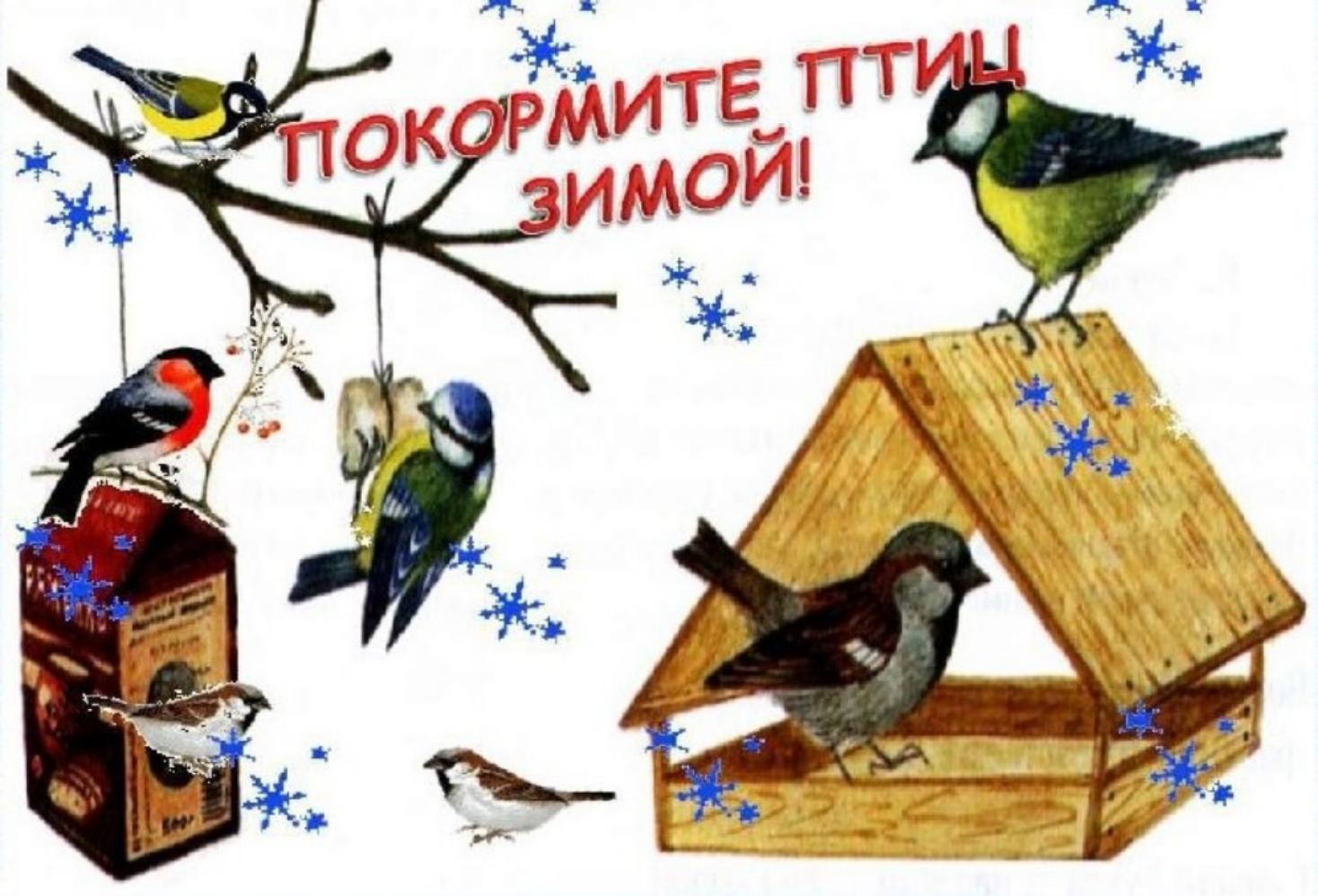В Пензенской области подведены итоги региональной экологической акции «Покормите птиц зимой». В Пензенской области подведены итоги региональной экологической акции «Покормите птиц зимой».