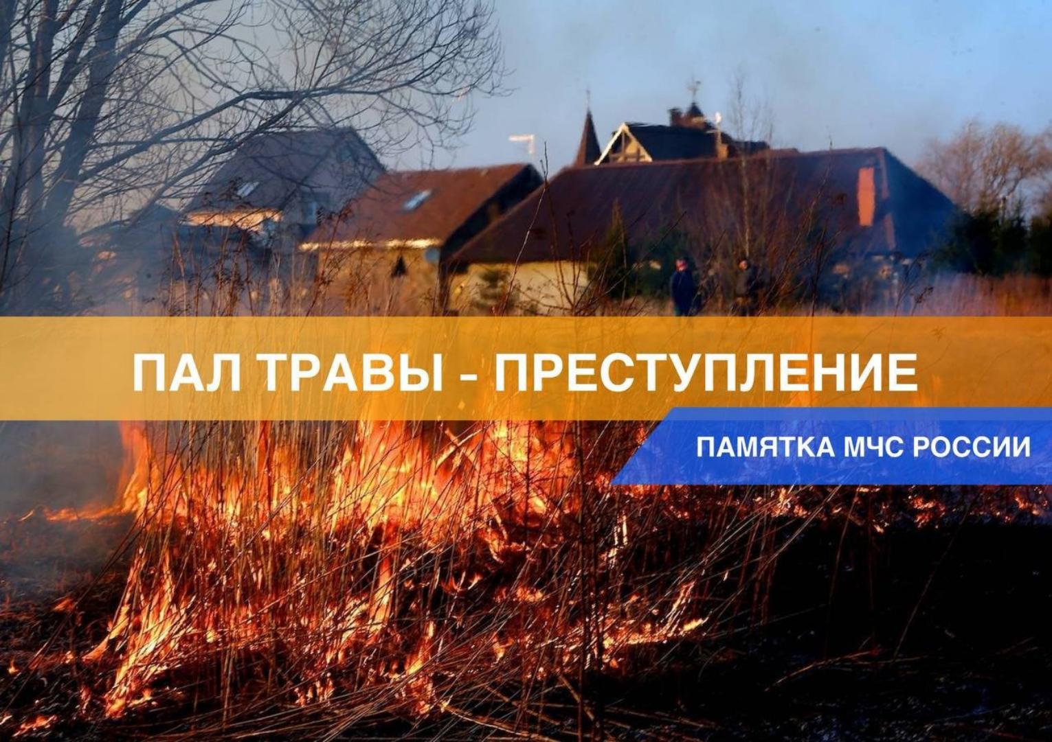 Единственным эффективным способом борьбы с травяными палами являются их предотвращение, а также грамотность и сознательность граждан Единственным эффективным способом борьбы с травяными палами являются их предотвращение, а также грамотность и сознательность граждан