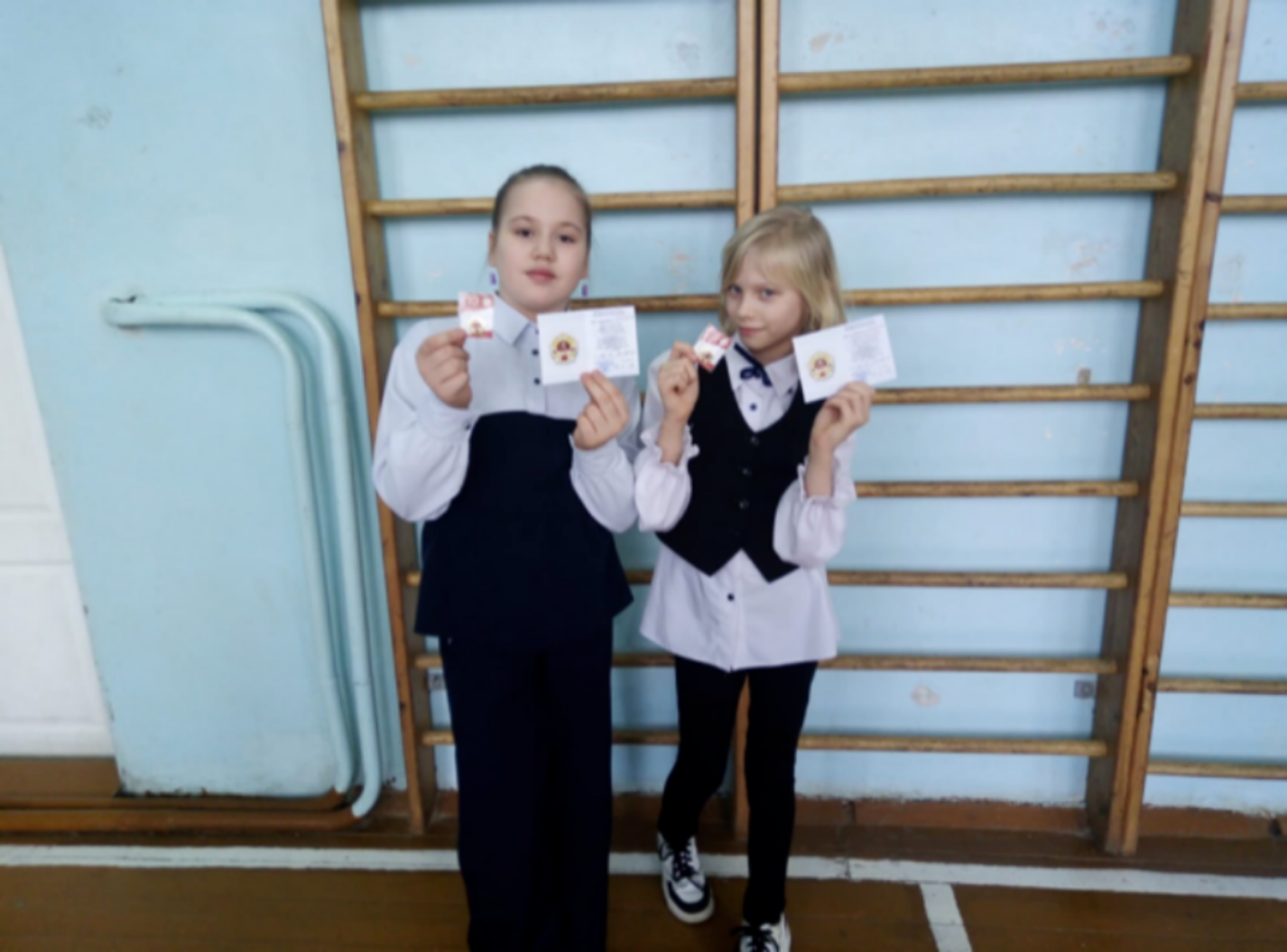 В МОУ СОШ п.Родниковский вручены золотые знаки отличия комплекса ВФСК ГТО