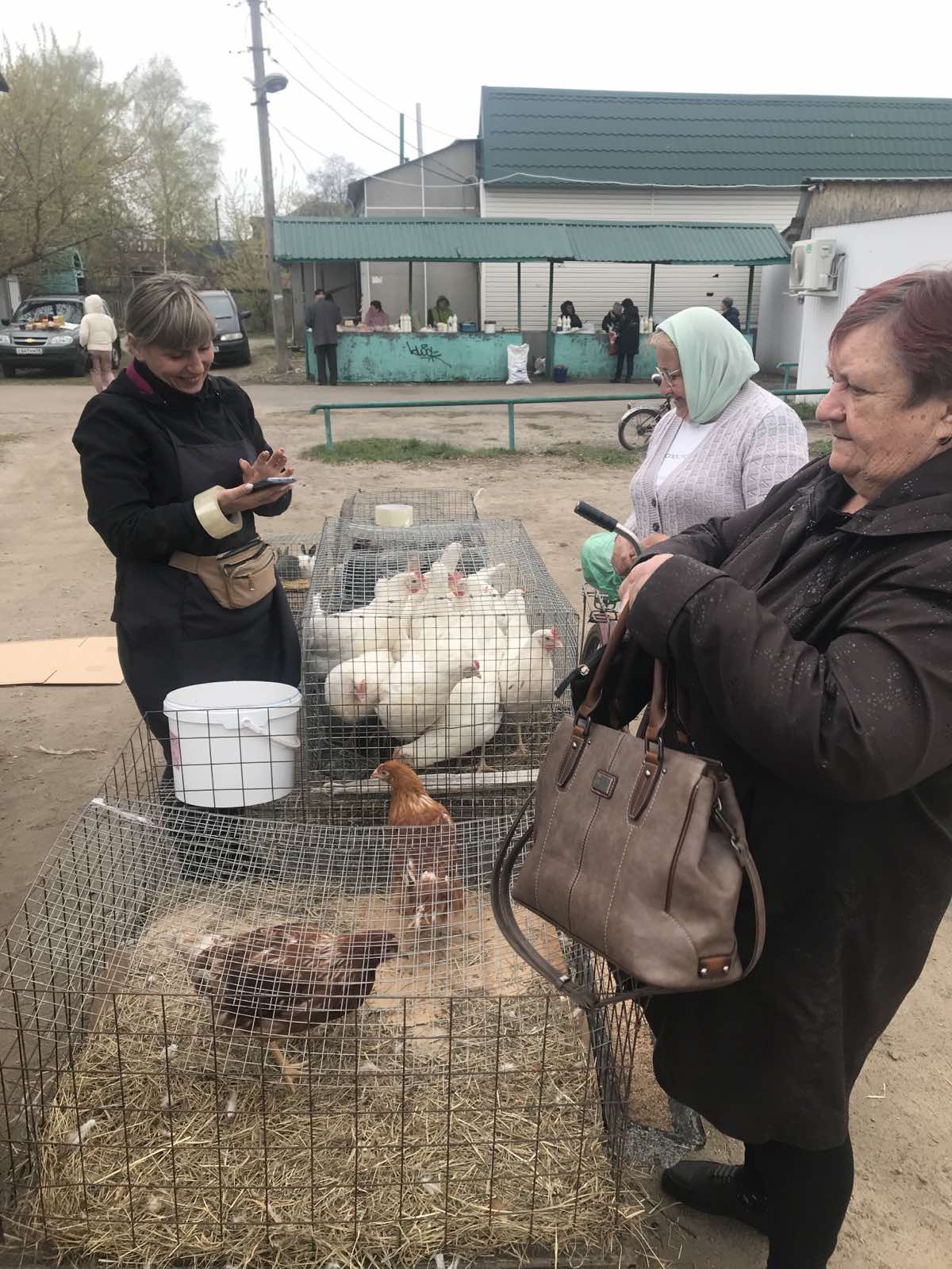 Очередной рейд проверки соблюдения правил торговли животными и птицей Очередной рейд проверки соблюдения правил торговли животными и птицей