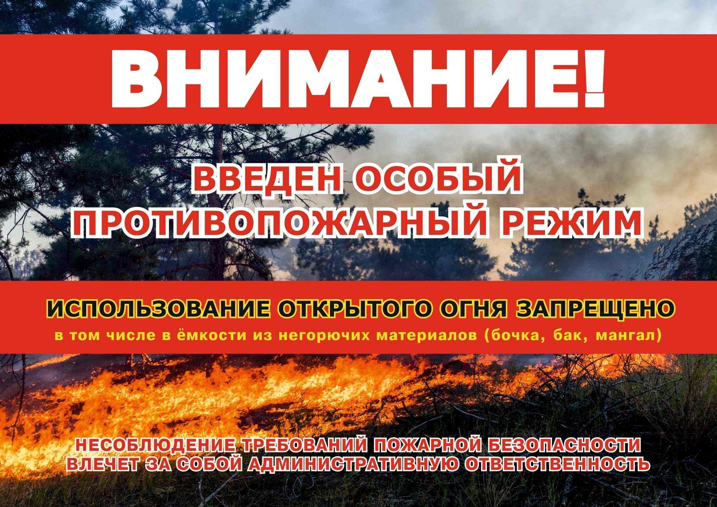 На территории Пензенской области с 28 мая введен особый противопожарный режим, действие которого продлится до особого распоряжения