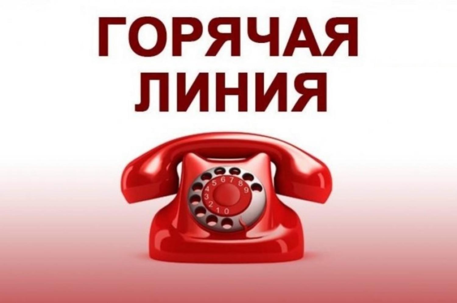 Администрация Колышлейского района напоминает, что работает «горячая линия» Администрация Колышлейского района напоминает, что работает «горячая линия»