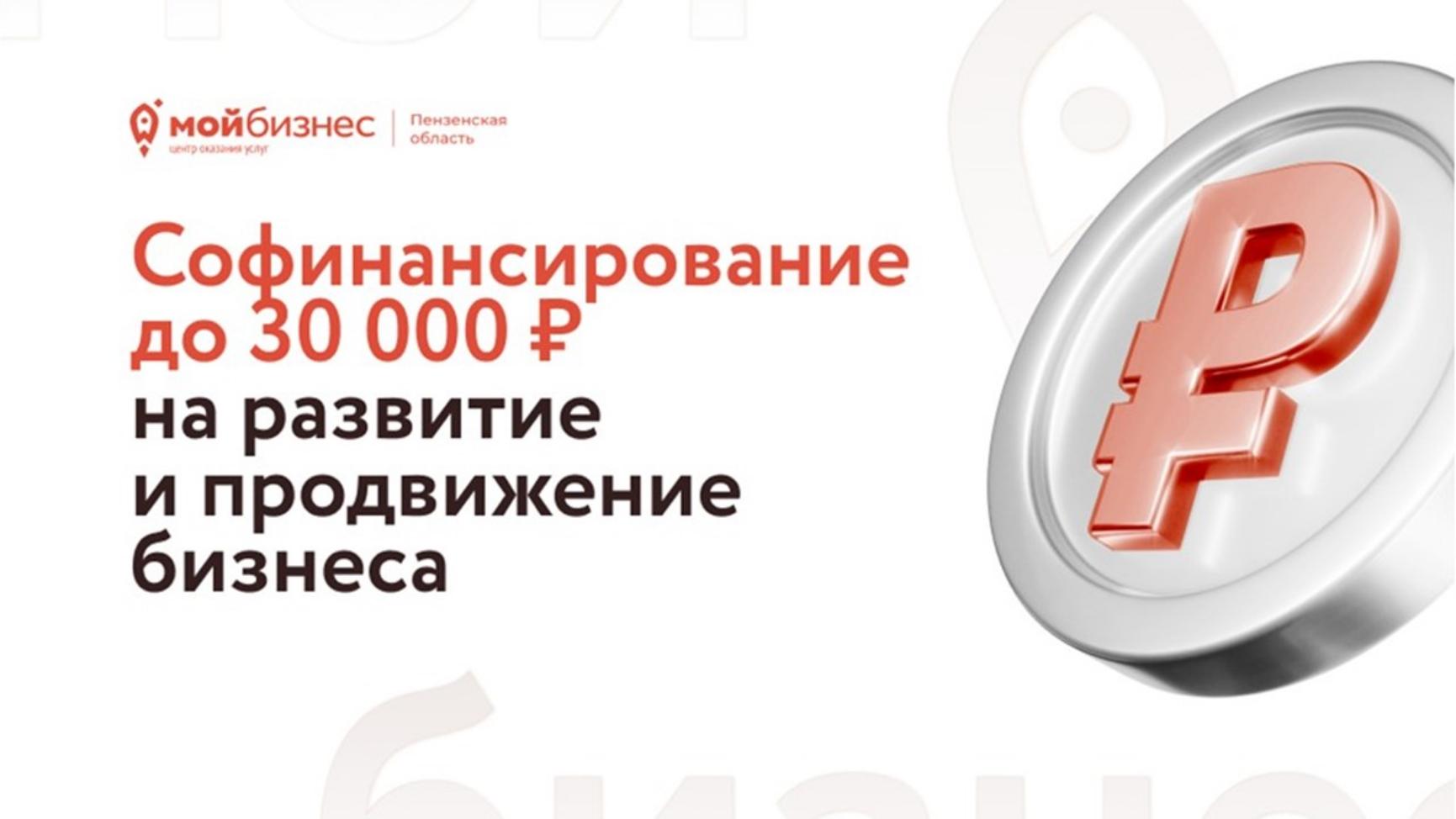 До 30 тысяч рублей могут получить пензенские предприниматели на развитие и продвижение бизнеса