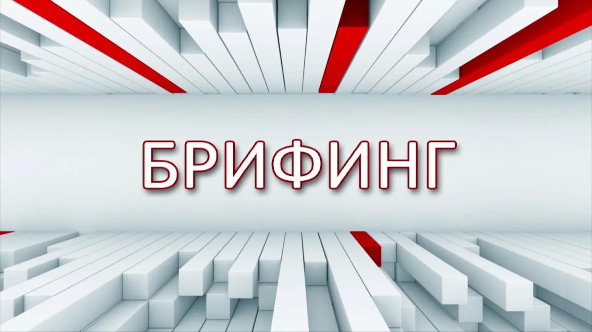 Брифинг по мерам поддержки субъектов малого и среднего предпринимательства