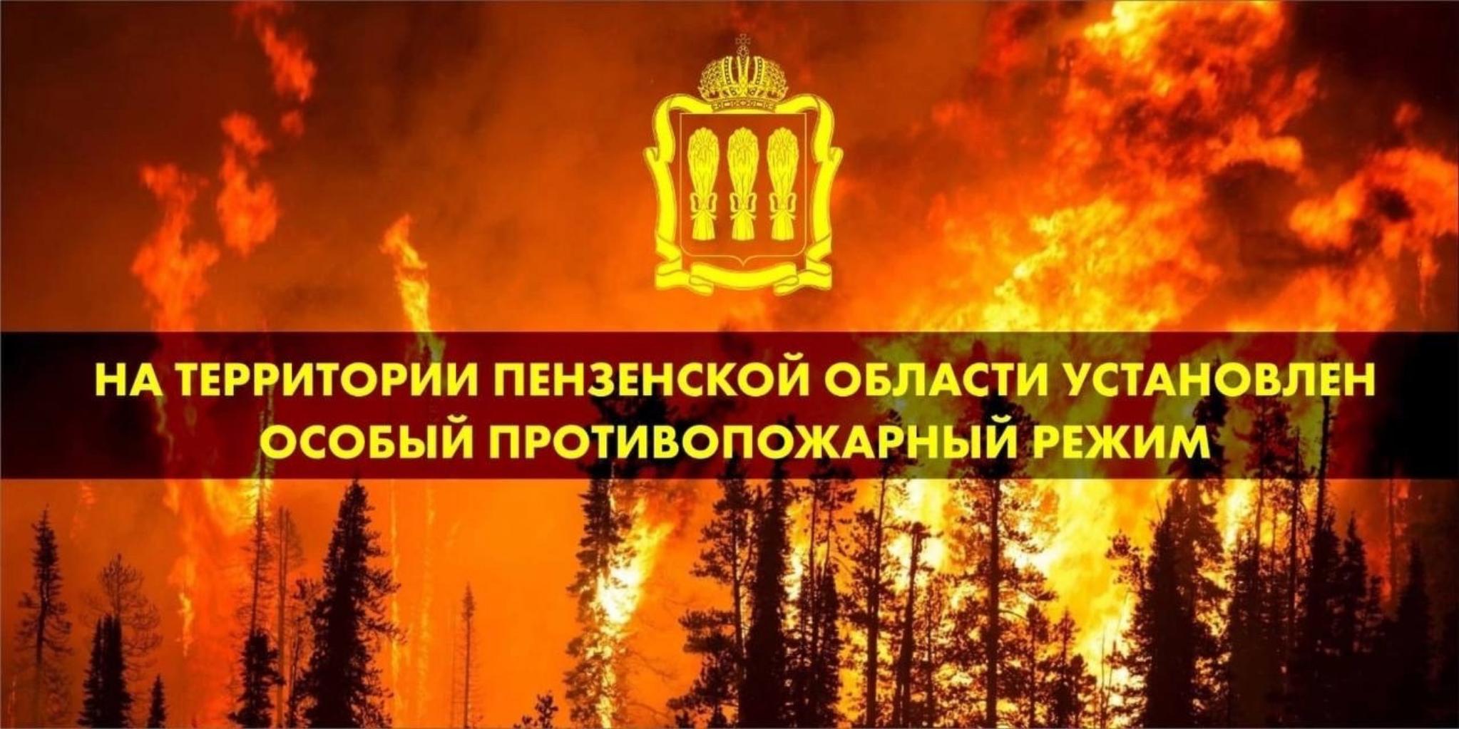 На территории Пензенской области с 1 июня 2024 года и до особого распоряжения введен  особый противопожарный режим