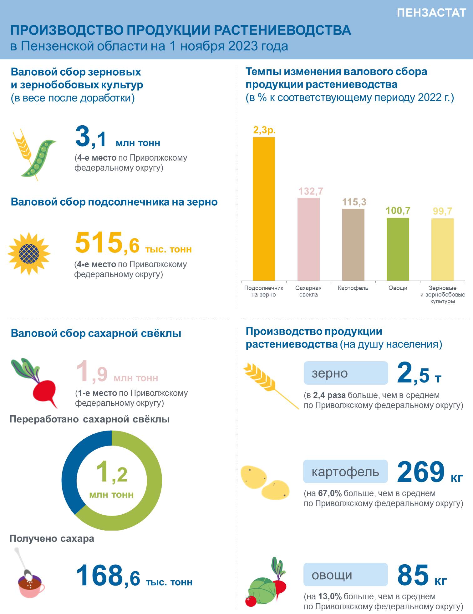 Производство продукции растениеводства на 1 ноября 2023 года