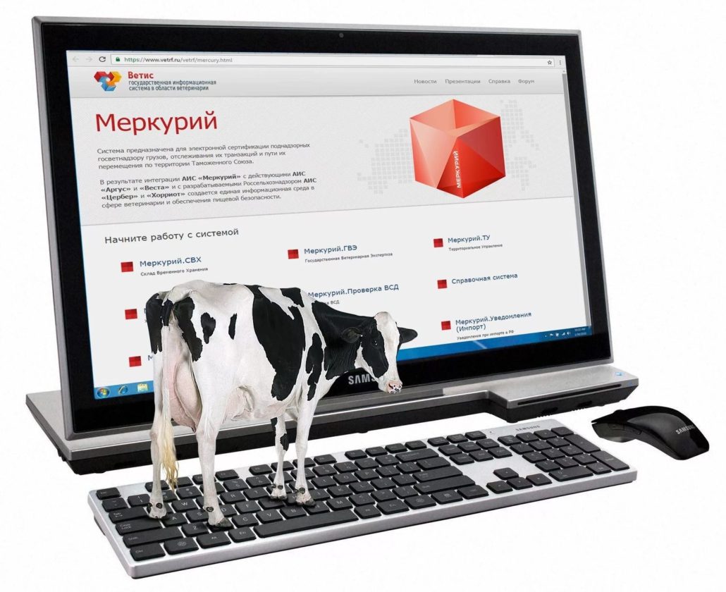 Порядок работы в системе «Меркурий»