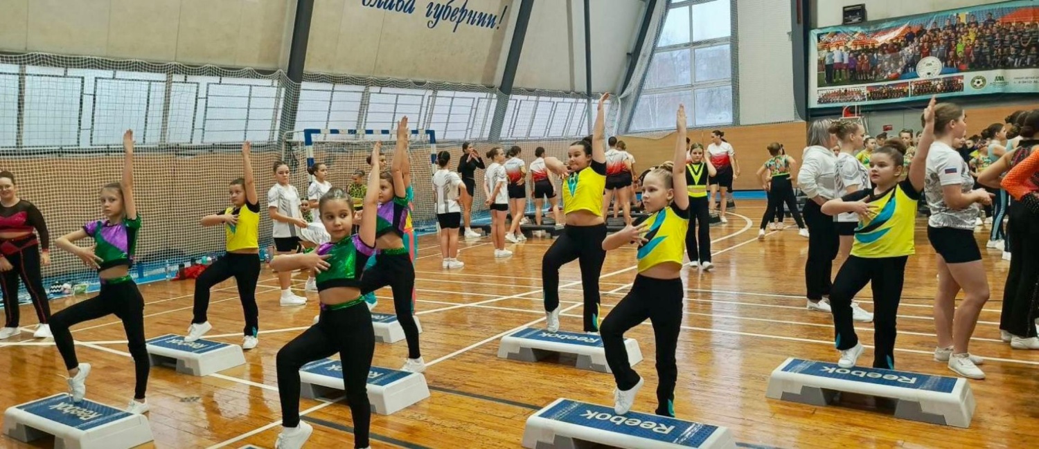 Кубок Пензенской области и областные соревнования по фитнес-аэробике «Сурские звездочки» Кубок Пензенской области и областные соревнования по фитнес-аэробике «Сурские звездочки»