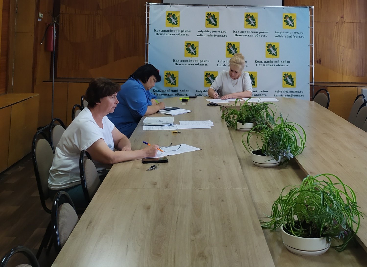 Представители субъектов системы профилактики безнадзорности и правонарушений несовершеннолетних Колышлейского района приняли участие в совещании 