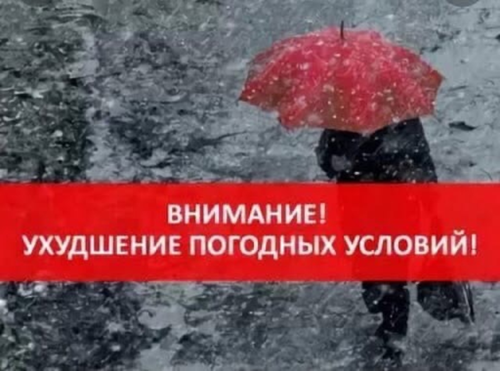 По информации Пензенского ЦГМС - филиал ФГБУ "Приволжское УГМС" 11 января 2024 года на территории Пензенской области прогнозируется облачная с прояснениями погода По информации Пензенского ЦГМС - филиал ФГБУ "Приволжское УГМС" 11 января 2024 года на территории Пензенской области прогнозируется облачная с прояснениями погода