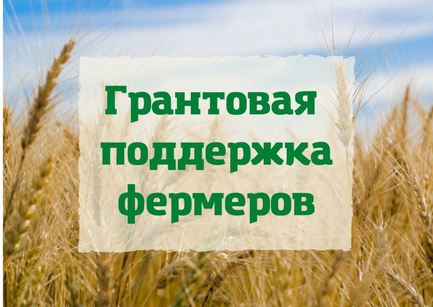 Министерство сельского хозяйства Пензенской области объявляет о начале приема заявок на участие в конкурсном отборе по предоставлению грантов 