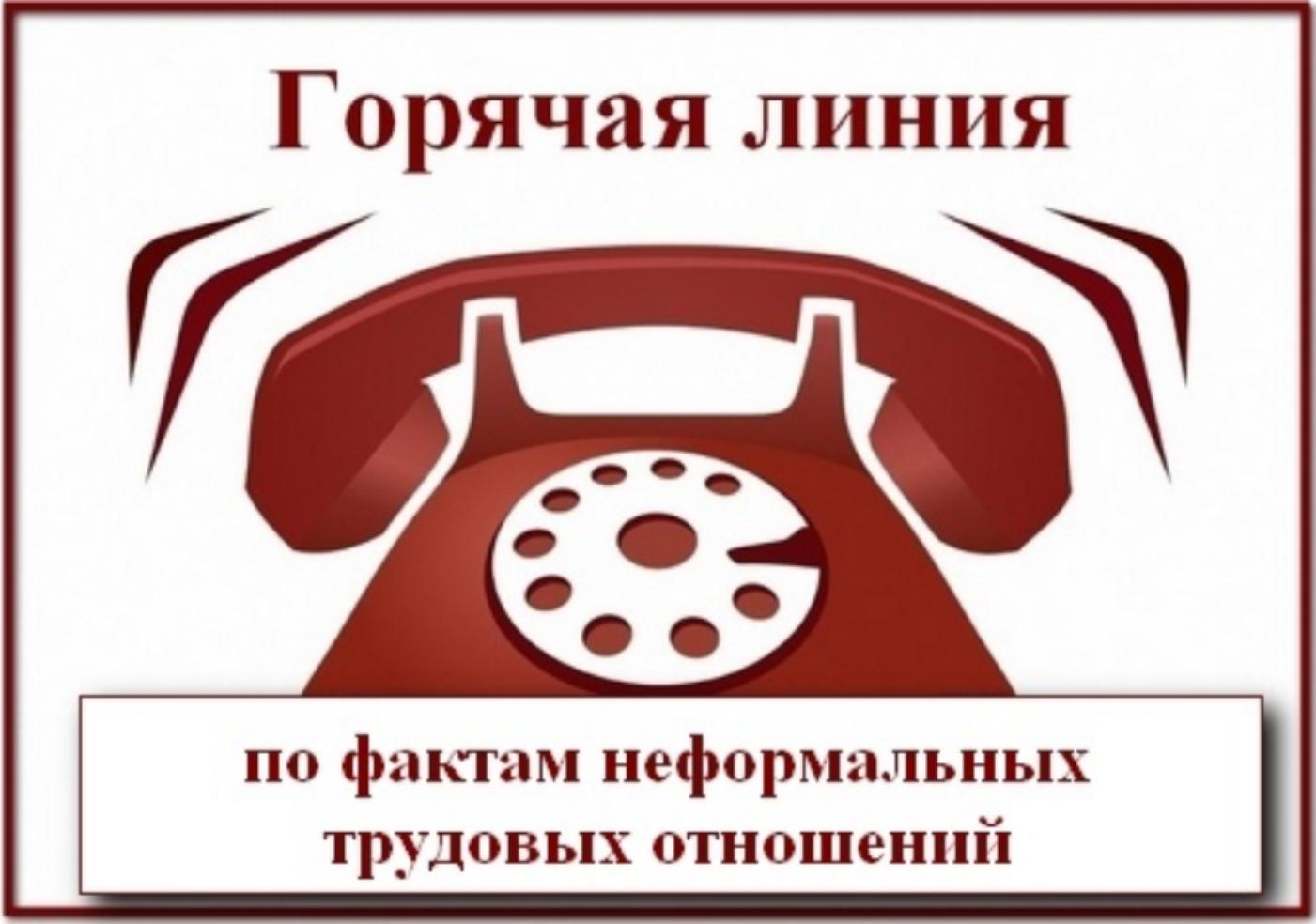 Телефон «горячей линии» по вопросам нарушения трудового законодательства Телефон «горячей линии» по вопросам нарушения трудового законодательства