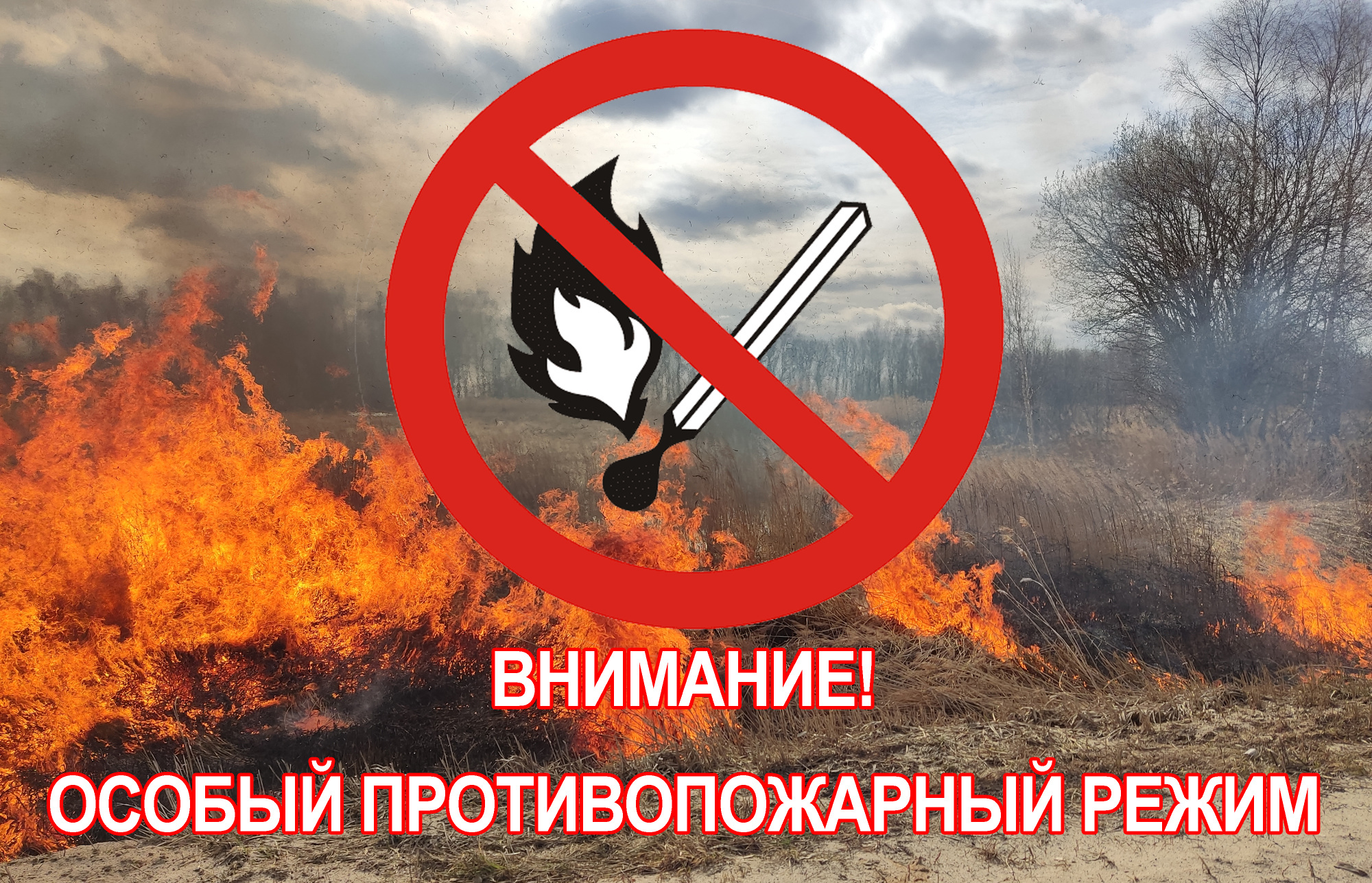 Объявлен особый противопожарный режим