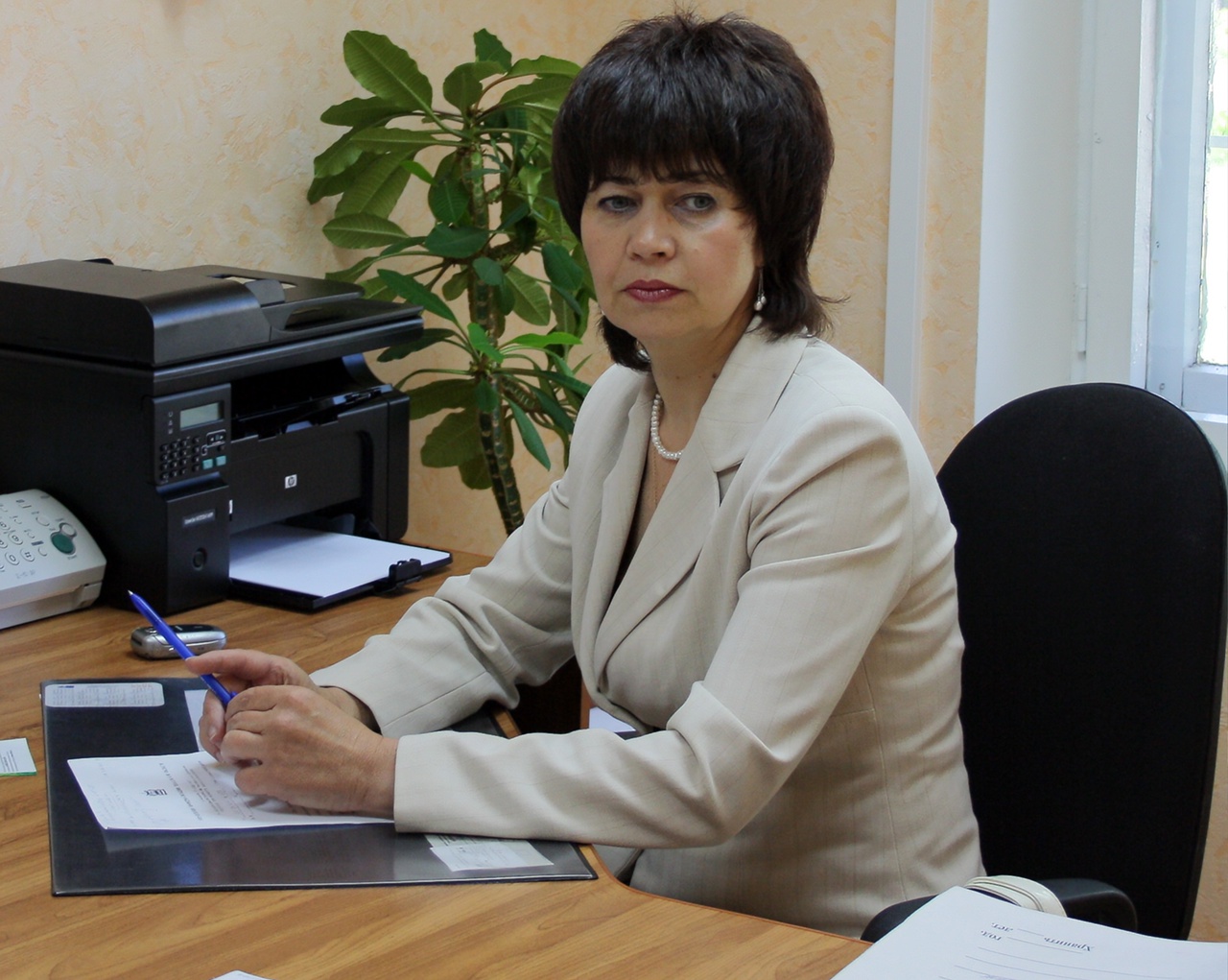 Доступность государственных и муниципальных услуг Доступность государственных и муниципальных услуг