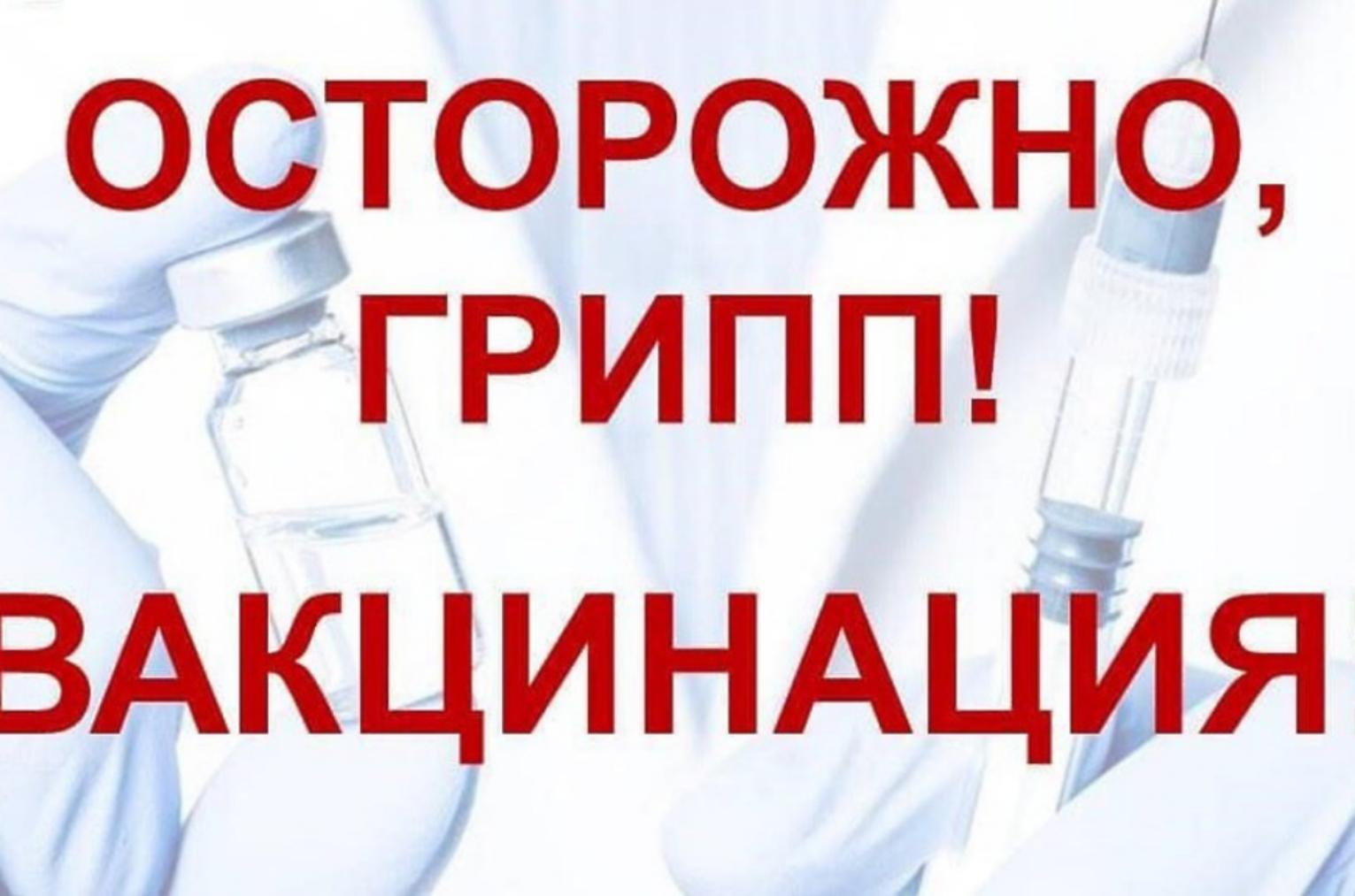 Вакцинация – основная мера профилактики гриппа Вакцинация – основная мера профилактики гриппа