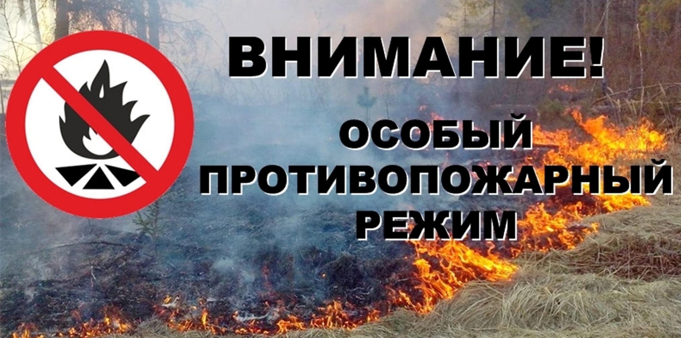 На территории Колышлейского района установлен особый противопожарный режим На территории Колышлейского района установлен особый противопожарный режим