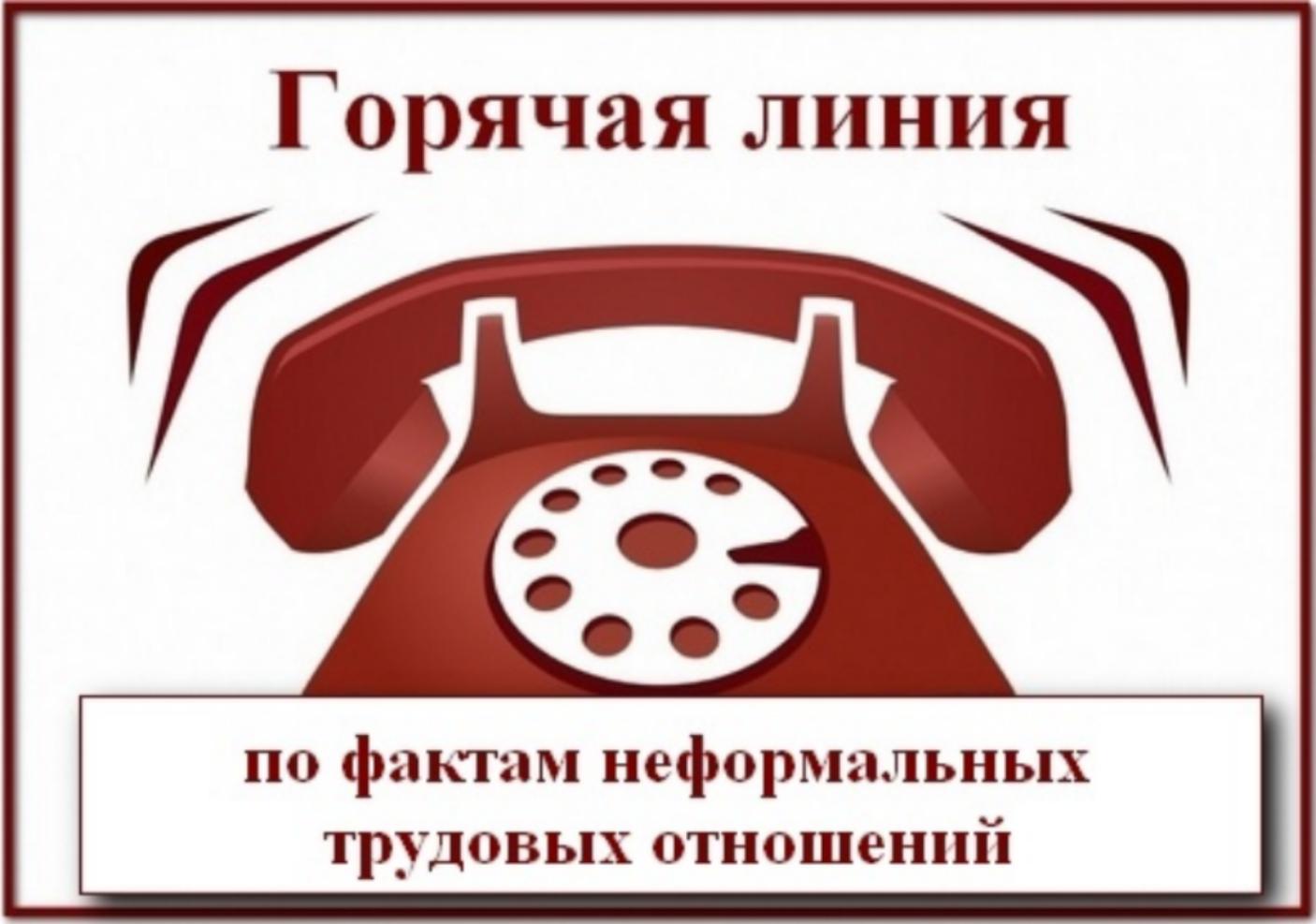 Администрация Колышлейского района напоминает, что работает «горячая линия» 