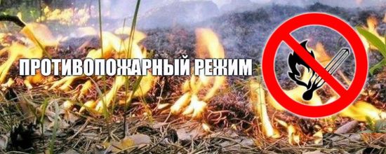 На территории Колышлейского района установлен особый противопожарный режим