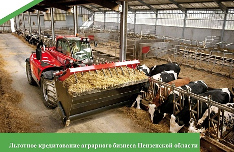 В Минсельхозе Пензенской области состоялось совещание с участием представителей кредитных организаций В Минсельхозе Пензенской области состоялось совещание с участием представителей кредитных организаций