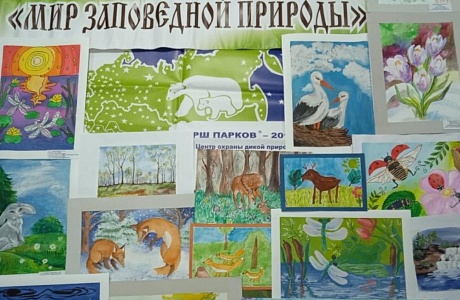 Сотрудники заповедника «Приволжская лесостепь» и Дома детского творчества 21 марта подвели итоги районного конкурса «Мир заповедной природы - 2023». Сотрудники заповедника «Приволжская лесостепь» и Дома детского творчества 21 марта подвели итоги районного конкурса «Мир заповедной природы - 2023».
