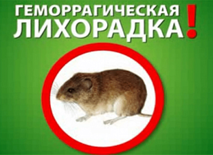 Руководителям предприятий, организаций, главам сельских поселений о ГЛПС Руководителям предприятий, организаций, главам сельских поселений о ГЛПС