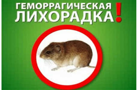 Руководителям предприятий, организаций, главам сельских поселений о ГЛПС