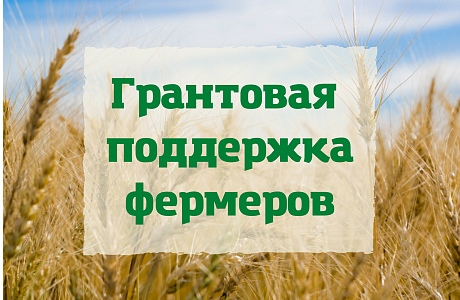 Министерство сельского хозяйства Пензенской области объявляет о начале приема заявок на участие в конкурсном отборе по предоставлению грантов 