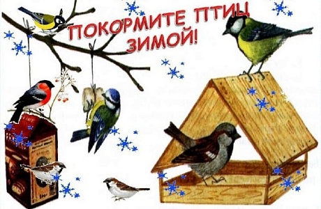 В Пензенской области подведены итоги региональной экологической акции «Покормите птиц зимой». В Пензенской области подведены итоги региональной экологической акции «Покормите птиц зимой».