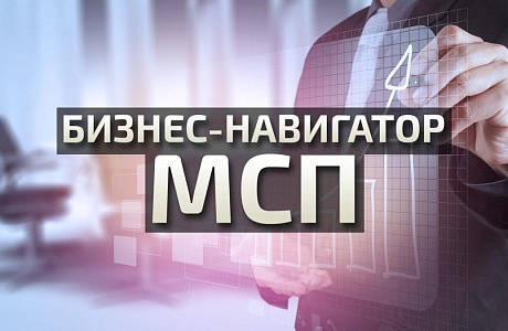 Информация о системе Бизнес-навигатор МСП