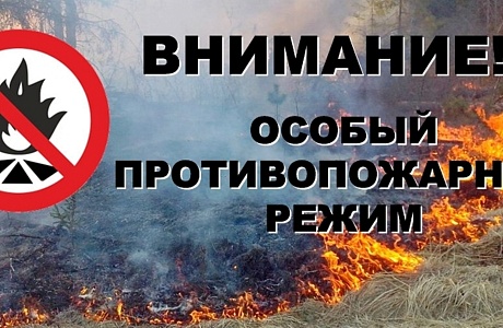 На территории Колышлейского района установлен особый противопожарный режим На территории Колышлейского района установлен особый противопожарный режим