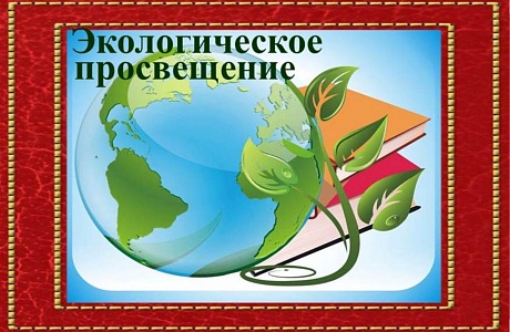 Педагоги и обучающиеся начального звена МОУ СОШ №1 р.п.Колышлей с начала 2020-2021 учебного года принимают участие в просветительской программе "Мои зеленые сказки" Педагоги и обучающиеся начального звена МОУ СОШ №1 р.п.Колышлей с начала 2020-2021 учебного года принимают участие в просветительской программе "Мои зеленые сказки"