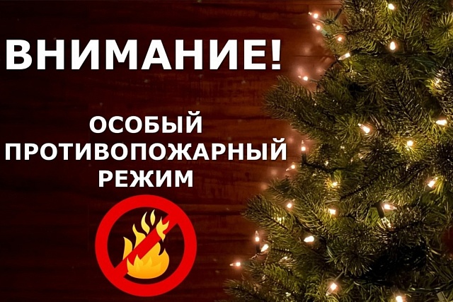 Об установлении особого противопожарного режима
