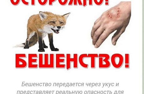 Памятка по профилактике и борьбе с бешенством