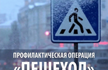 Автоинспекторы отделения ГИБДД МО МВД России «Колышлейский» усилят контроль за соблюдением Правил дорожного движения на пешеходных переходах