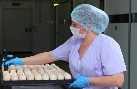 «Дамате» модернизировала инкубатор в Пензенской области, увеличив его мощность в 3,8 раза