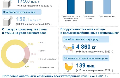 Состояние животноводства в хозяйствах всех категорий в январе–июне 2023 года Состояние животноводства в хозяйствах всех категорий в январе–июне 2023 года