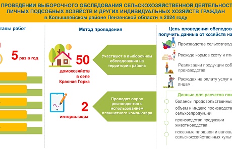 На территории Пензенской области, Федеральной службой государственной статистики проводится выборочное обследование сельскохозяйственной деятельности хозяйств 