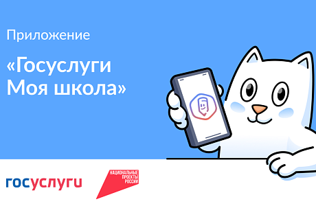 Более 43 тысяч школьников Пензенской области и их родителей уже пользуются приложением «Госуслуги. Моя школа»  
