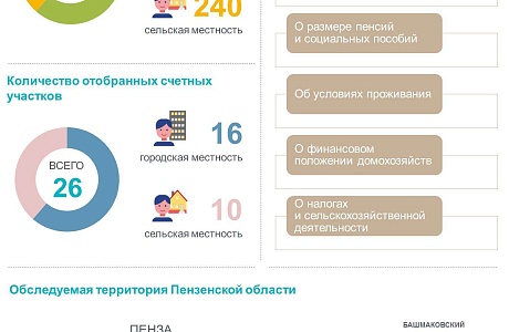 О проведении в 2024 году Выборочного наблюдения доходов населения и участия в социальных программах