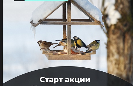 Стартовала акция «Хранители птиц»! Стартовала акция «Хранители птиц»!
