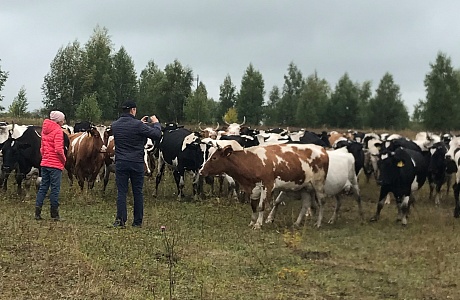 Представители Министерства сельского хозяйства Пензенской области и Администрации Колышлейского района  посетили КФХ Максимовой Т.А.