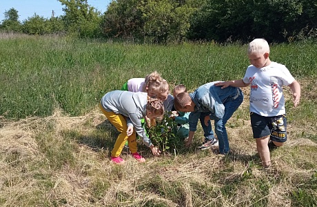 В День родника в ДОЛ "Солнышко" при МОУ ООШ с. Крутец ребята приняли участие в акции " В День родника в ДОЛ "Солнышко" при МОУ ООШ с. Крутец ребята приняли участие в акции "