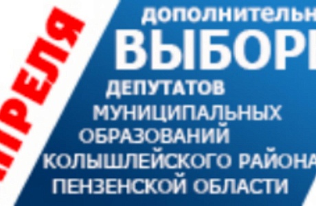 В Колышлейском районе 8 и 9 апреля проходили дополнительные выборы депутатов Комитетов местных самоуправлений