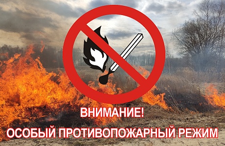Объявлен особый противопожарный режим