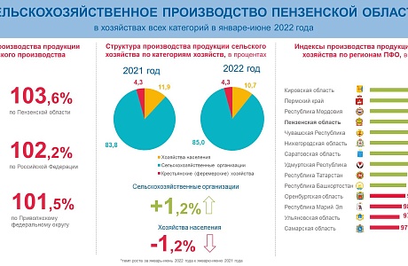 Сельскохозяйственное производство Пензенской области в январе-июне 2022 года Сельскохозяйственное производство Пензенской области в январе-июне 2022 года