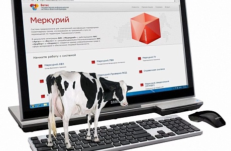 Порядок работы в системе «Меркурий»
